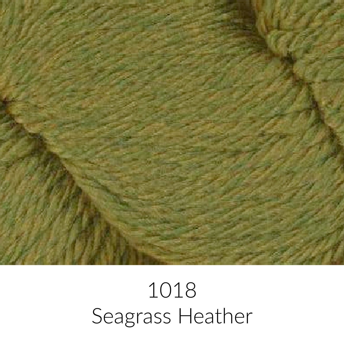 Ella Rae Chunky Merino Superwash