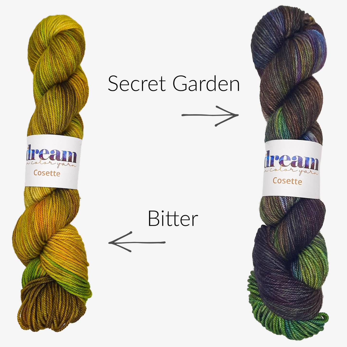 Dream in Color Cosette