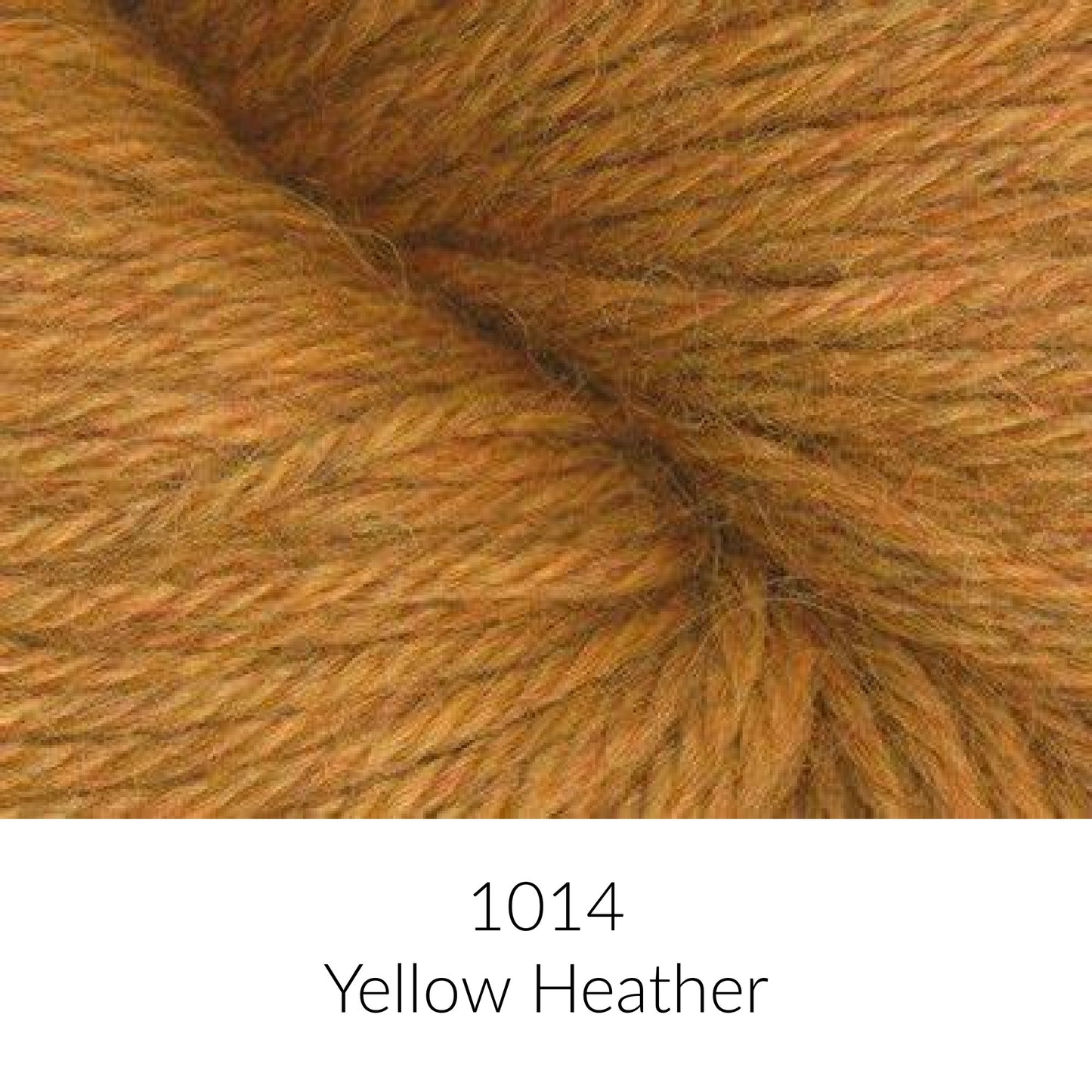 Juniper Moon Herriot