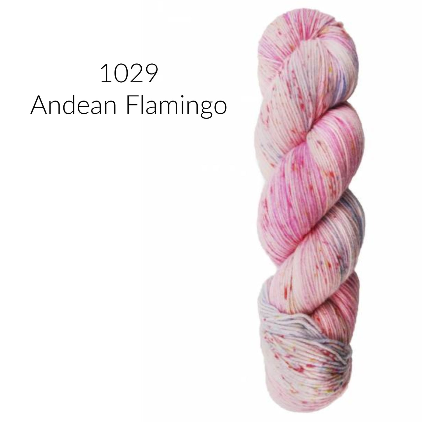 Aracucania Huasco Sock Hand Painted