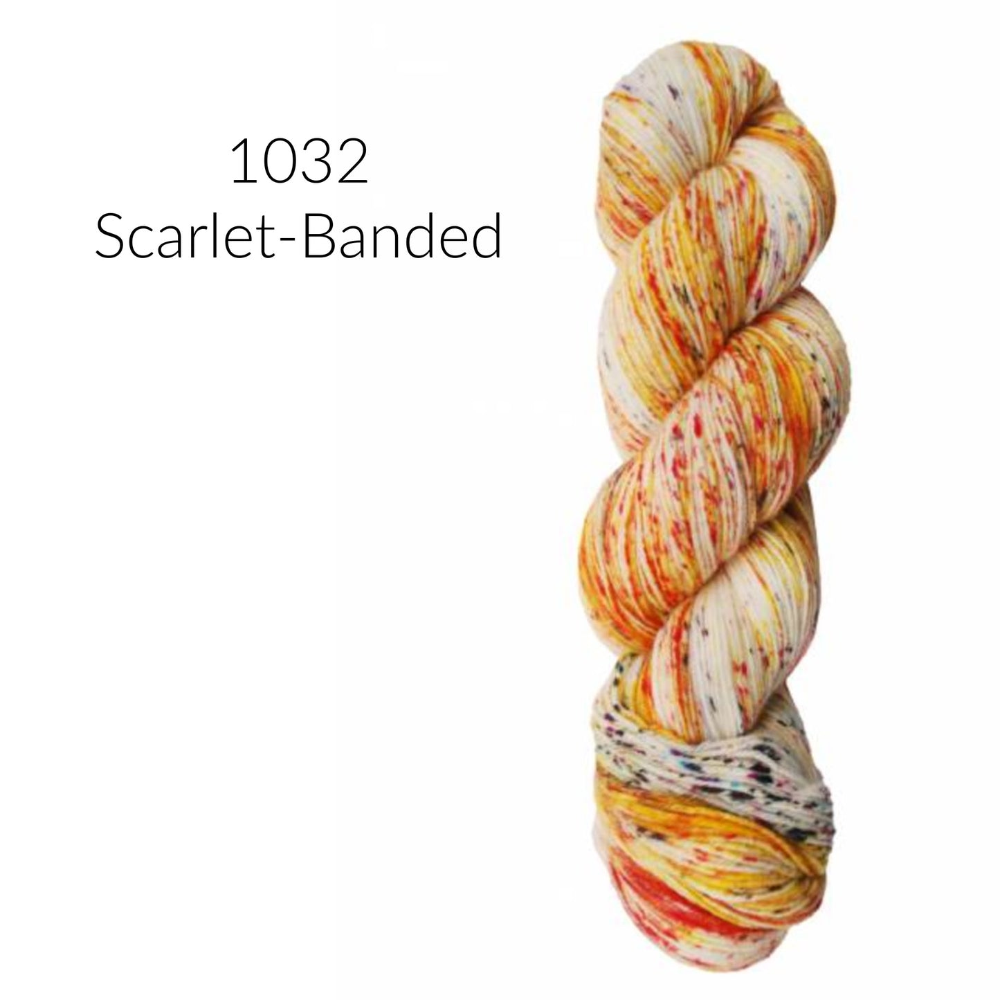 Aracucania Huasco Sock Hand Painted