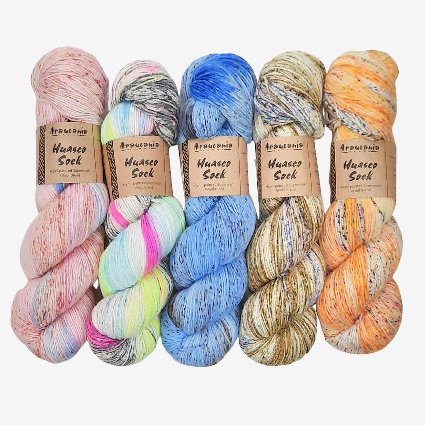 Aracucania Huasco Sock Hand Painted