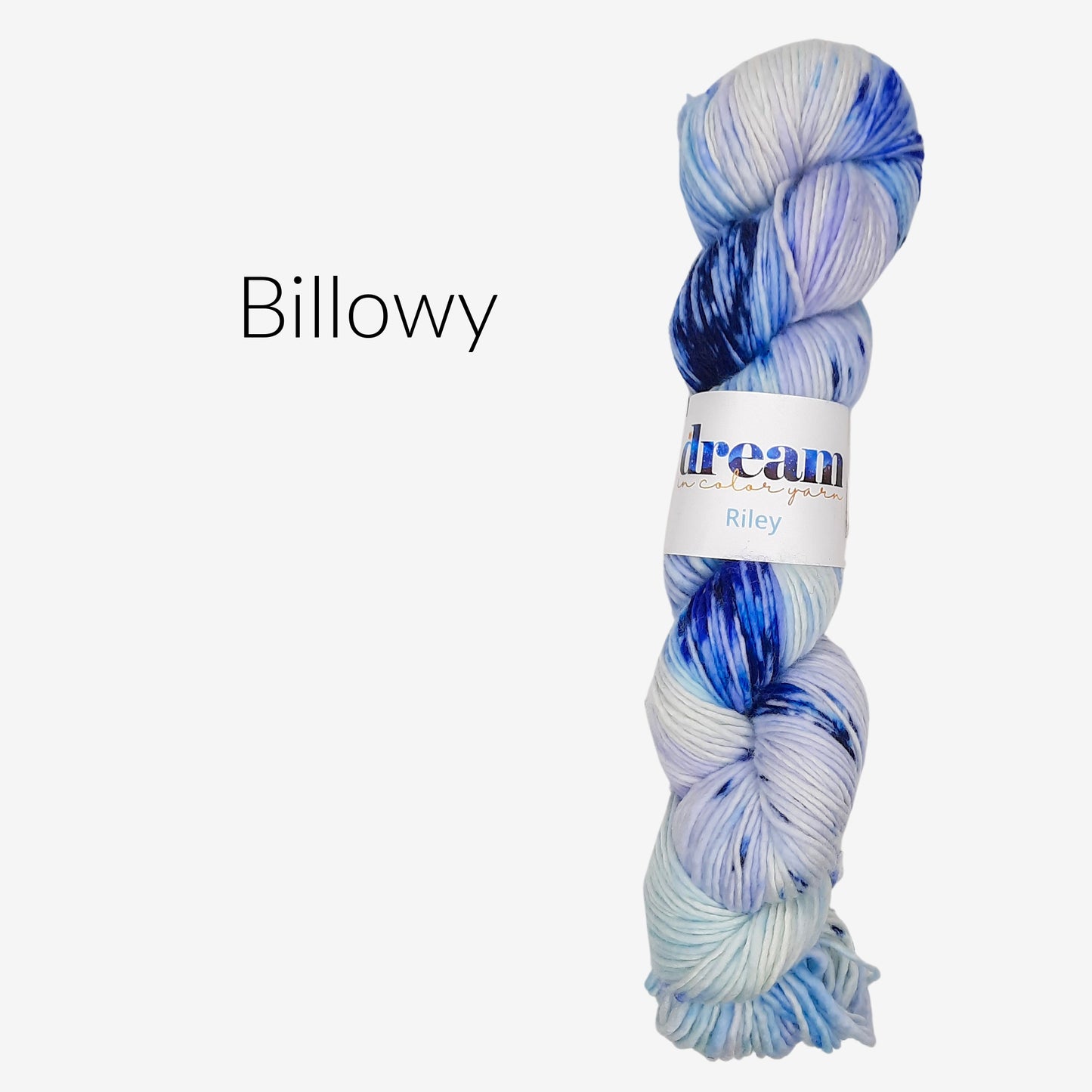 Dream in Color Riley